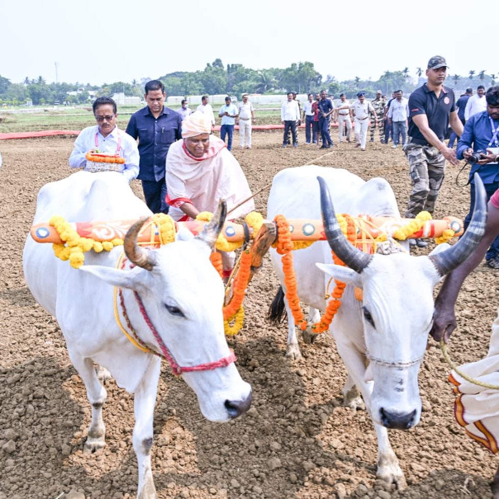 ଆଜି ପବିତ୍ର ଅକ୍ଷୟ ତୃତୀୟା ତଥା କୃଷକ ଦିବସ। ଏହି ପବିତ୍ର ତିଥିରେ କଟକ ବିଦ୍ୟାଧରପୁର ସ୍ଥିତ କେନ୍ଦ୍ରୀୟ ଧାନ ଗବେଷଣା କେନ୍ଦ୍ର ପରିସରରେ ଆୟୋଜିତ କାର୍ଯ୍ୟକ୍ରମରେ ମାନ୍ୟବର ମୁଖ୍ୟମନ୍ତ୍ରୀ ଶ୍ରୀ ମୋହନ ଚରଣ ମାଝୀ ଯୋଗଦେଇଛନ୍ତି।